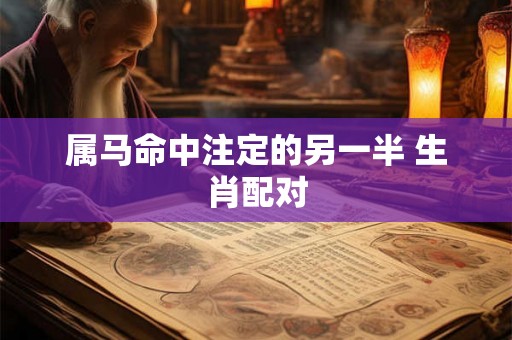 属马命中注定的另一半 生肖配对 属马命中注定的另一半 生肖配对