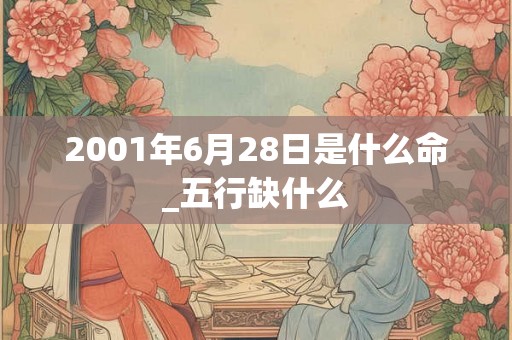 2001年6月28日是什么命_五行缺什么