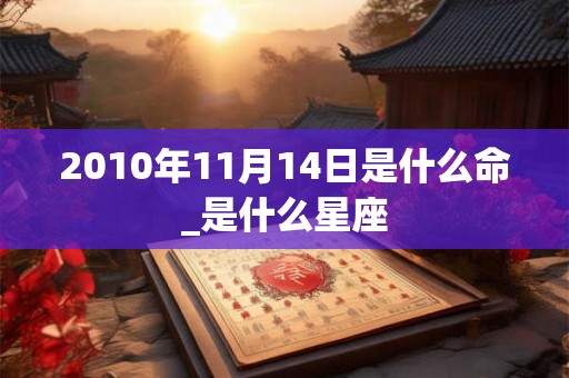 2010年11月14日是什么命_是什么星座