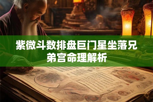 紫微斗数排盘巨门星坐落兄弟宫命理解析