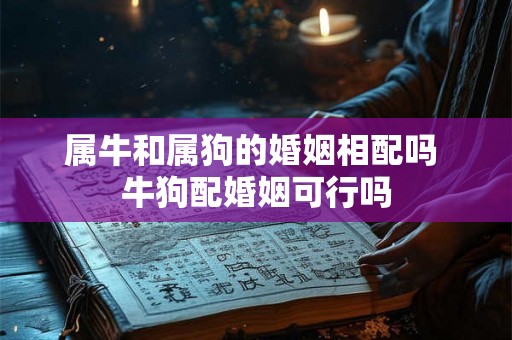 属牛和属狗的婚姻相配吗 牛狗配婚姻可行吗