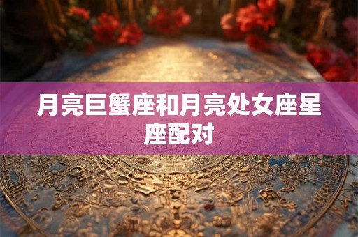 月亮巨蟹座和月亮处女座星座配对