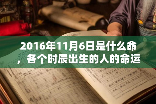 2016年11月6日是什么命,各个时辰出生的人的命运 2016年11月6日是什么命,各个时辰出生的人的命运