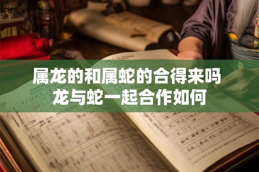 属龙的和属蛇的合得来吗 龙与蛇一起合作如何 属龙的和属蛇的合得来吗 龙与蛇一起合作如何