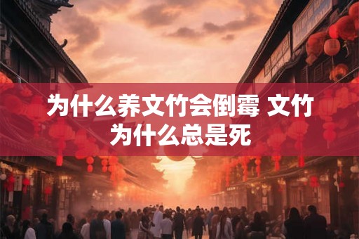 为什么养文竹会倒霉 文竹为什么总是死