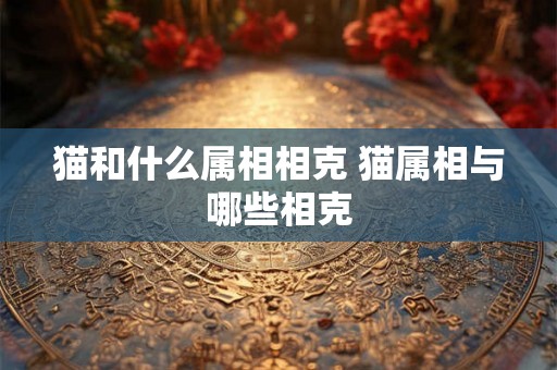 猫和什么属相相克 猫属相与哪些相克