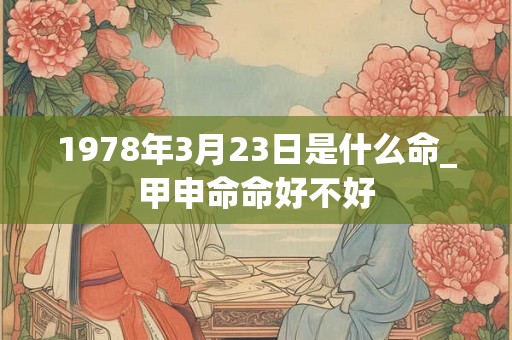 1978年3月23日是什么命_甲申命命好不好