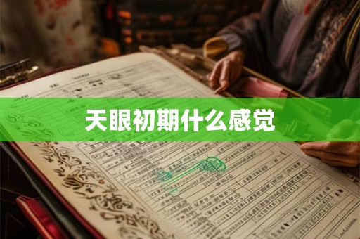 天眼初期什么感觉