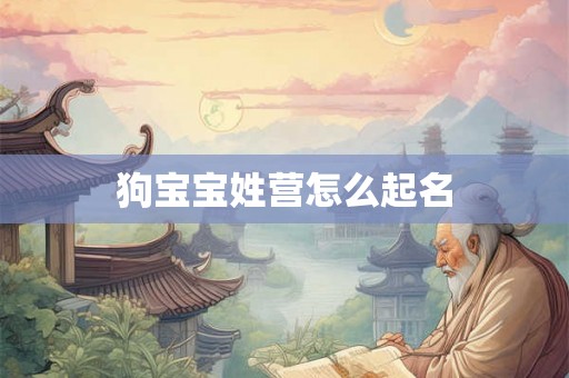 狗宝宝姓营怎么起名