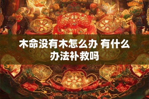 木命没有木怎么办 有什么办法补救吗