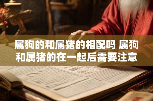 属狗的和属猪的相配吗 属狗和属猪的在一起后需要注意什么 属狗的和属猪的相配吗 属狗和属猪的在一起后需要注意什么