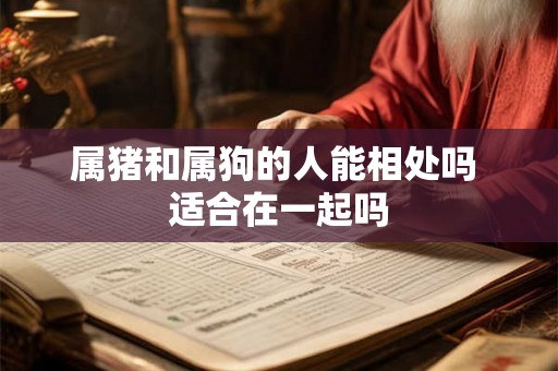 属猪和属狗的人能相处吗 适合在一起吗 属猪和属狗的人能相处吗 适合在一起吗