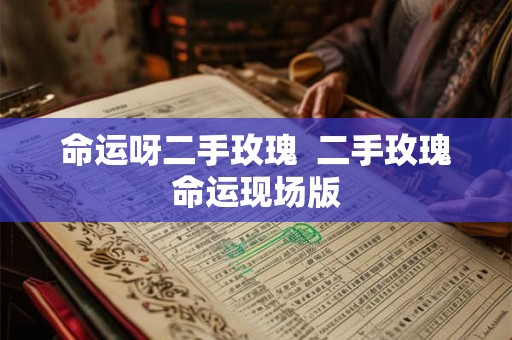 命运呀二手玫瑰  二手玫瑰命运现场版