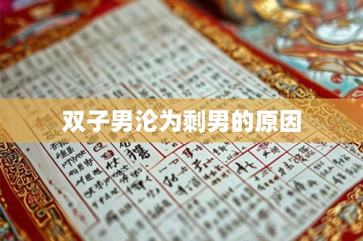 双子男沦为剩男的原因