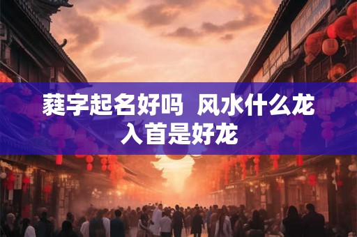 蕤字起名好吗  风水什么龙入首是好龙