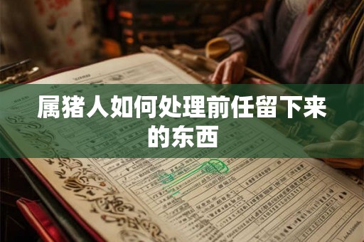 属猪人如何处理前任留下来的东西