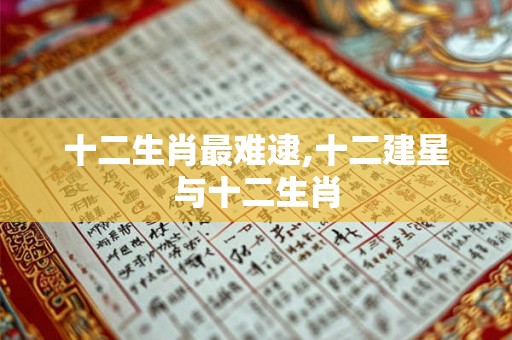 十二生肖最难逮,十二建星与十二生肖
