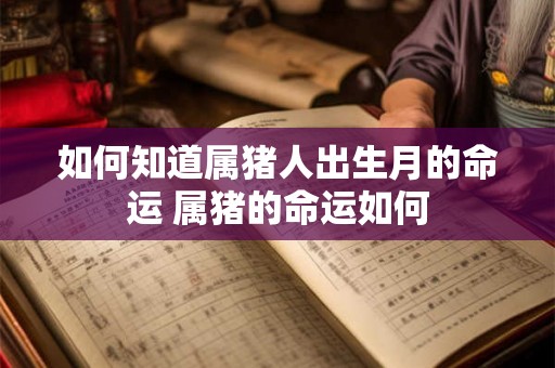 如何知道属猪人出生月的命运 属猪的命运如何