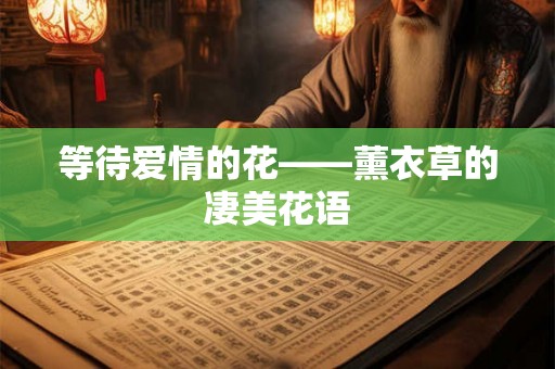 等待爱情的花——薰衣草的凄美花语