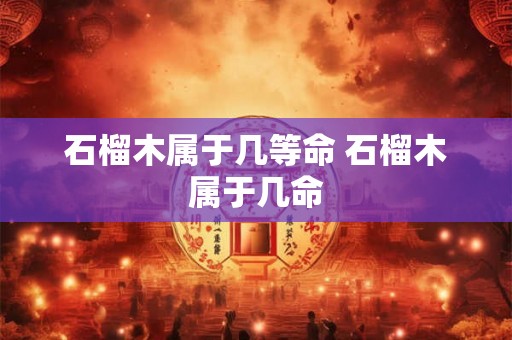 石榴木属于几等命 石榴木属于几命
