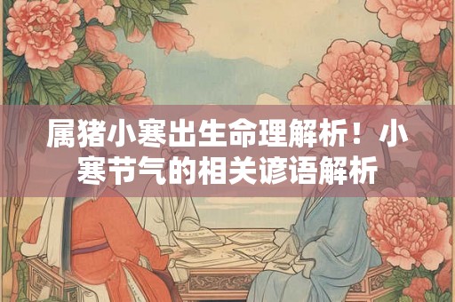 属猪小寒出生命理解析！小寒节气的相关谚语解析