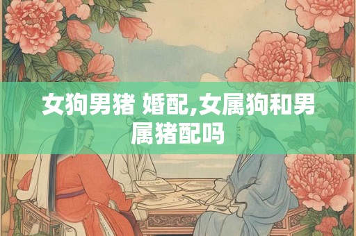 女狗男猪 婚配,女属狗和男属猪配吗