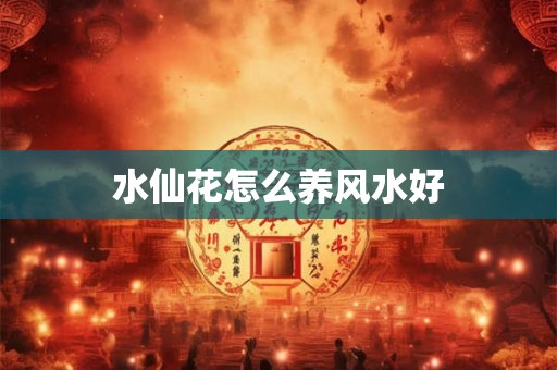 水仙花怎么养风水好