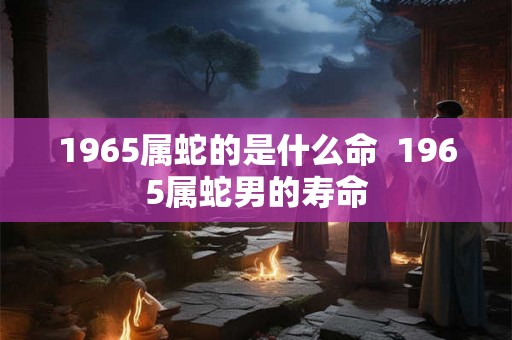1965属蛇的是什么命 1965属蛇男的寿命 1965属蛇的是什么命 1965属蛇男的寿命