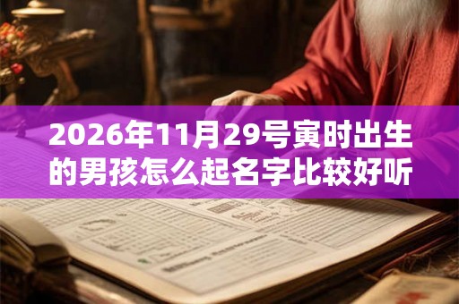 2026年11月29号寅时出生的男孩怎么起名字比较好听
