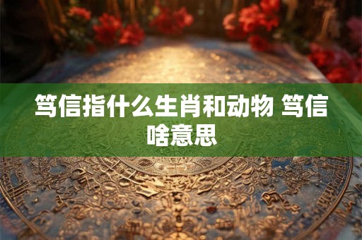 笃信指什么生肖和动物 笃信啥意思
