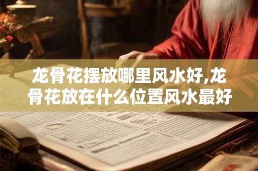 龙骨花摆放哪里风水好,龙骨花放在什么位置风水最好