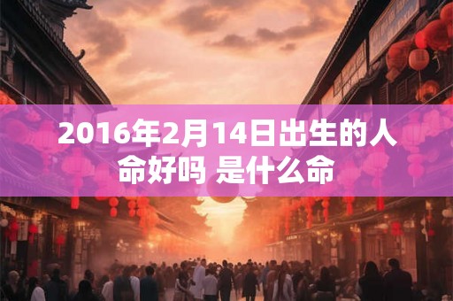 2016年2月14日出生的人命好吗 是什么命