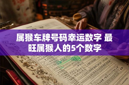 属猴车牌号码幸运数字 最旺属猴人的5个数字