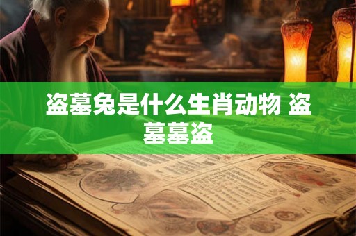 盗墓兔是什么生肖动物 盗墓墓盗 盗墓兔是什么生肖动物 盗墓墓盗