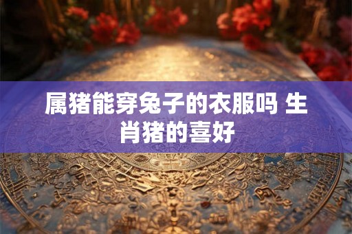 属猪能穿兔子的衣服吗 生肖猪的喜好