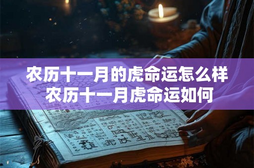 农历十一月的虎命运怎么样 农历十一月虎命运如何 农历十一月的虎命运怎么样 农历十一月虎命运如何