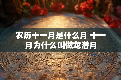 农历十一月是什么月 十一月为什么叫做龙潜月 农历十一月是什么月 十一月为什么叫做龙潜月
