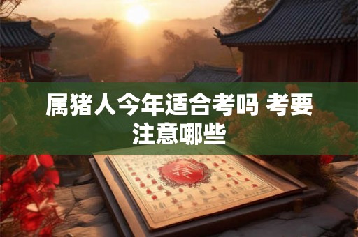 属猪人今年适合考吗 考要注意哪些 属猪人今年适合考吗 考要注意哪些