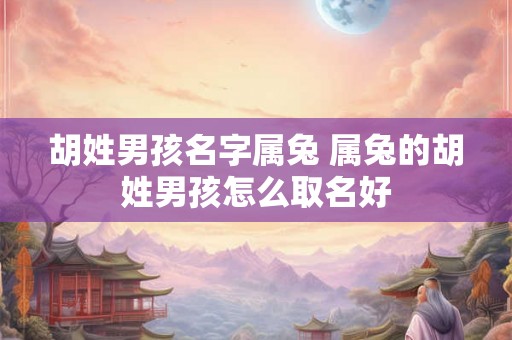 胡姓男孩名字属兔 属兔的胡姓男孩怎么取名好