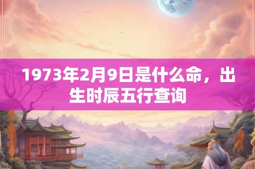 1973年2月9日是什么命，出生时辰五行查询