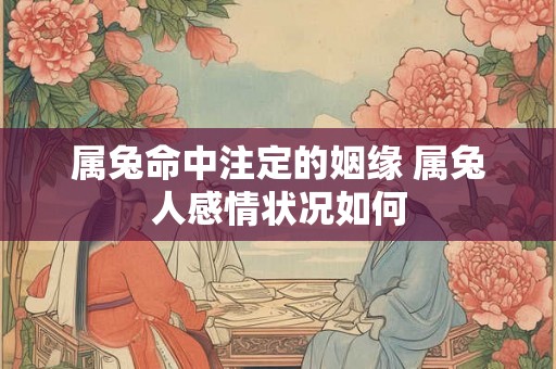 属兔命中注定的姻缘 属兔人感情状况如何