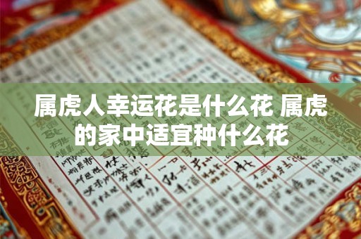 属虎人幸运花是什么花 属虎的家中适宜种什么花