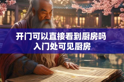 开门可以直接看到厨房吗 入门处可见厨房 开门可以直接看到厨房吗 入门处可见厨房