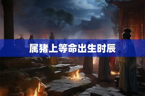 属猪上等命出生时辰