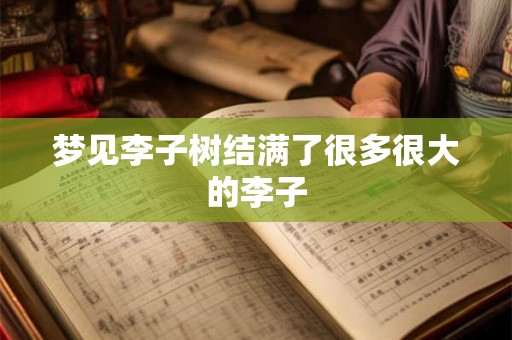 梦见李子树结满了很多很大的李子