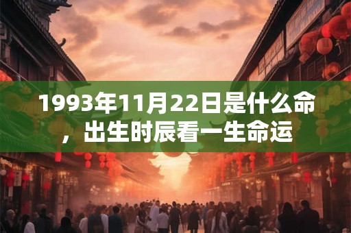 1993年11月22日是什么命，出生时辰看一生命运