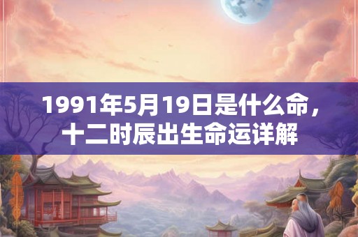 1991年5月19日是什么命，十二时辰出生命运详解
