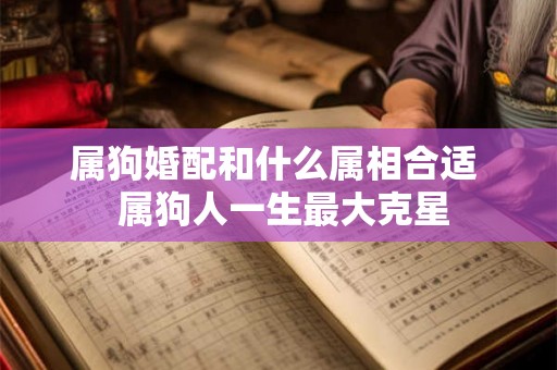 属狗婚配和什么属相合适  属狗人一生最大克星