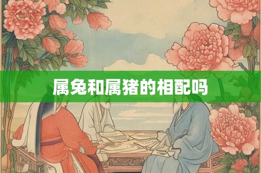 属兔和属猪的相配吗