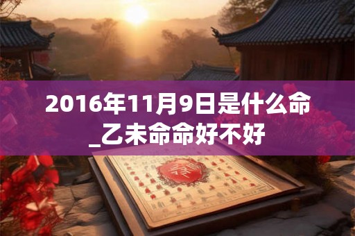 2016年11月9日是什么命_乙未命命好不好